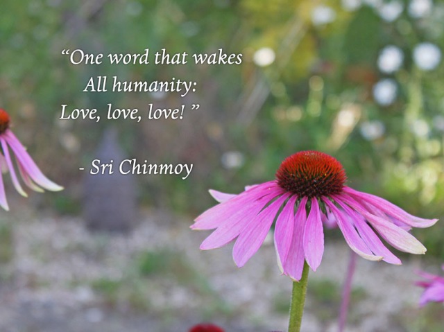 poema-de-sri-chinmoy-one-word-wakes-humanity-love